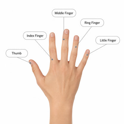 Illustration av handens fingrar som visar vilka fingerskydd som finns: pek-, lång-, ring- och lillfinger.